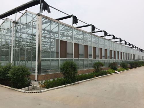 玻璃温室大棚常用配套系统及用途解析与专业安装服务介绍