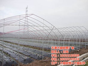 河北温室大棚配件一站式采购与服务 联系刘姐，获取高清图片与专业安装