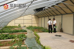 三门峡阳光板温室大棚 创新设计与专业安装一体化服务，引领现代农业新篇章