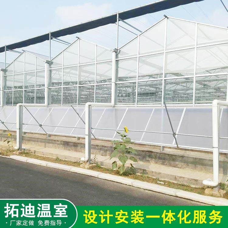 定制无限可能，高效高产的智能温室——拓迪为您实现您的智慧农业梦想！