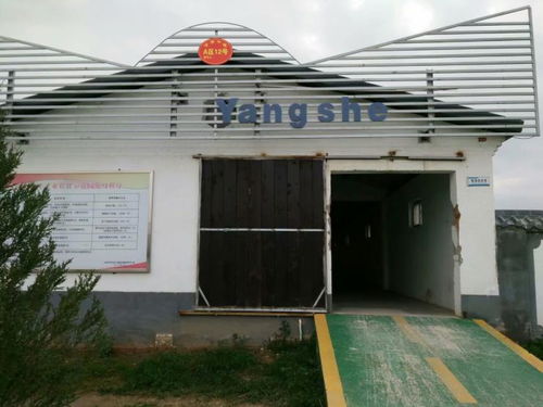 北京活动房选择指南 雅致彩钢板、钢架结构与大棚安装服务全解析