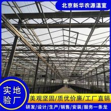 生态智能温室大棚 新华农源单拱薄膜连栋温室的智慧与匠心